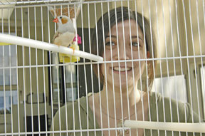 Ang&egrave;le St-Pierre